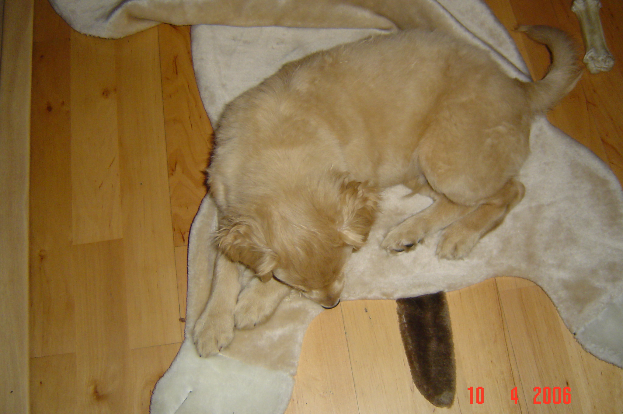 DSC01931.JPG