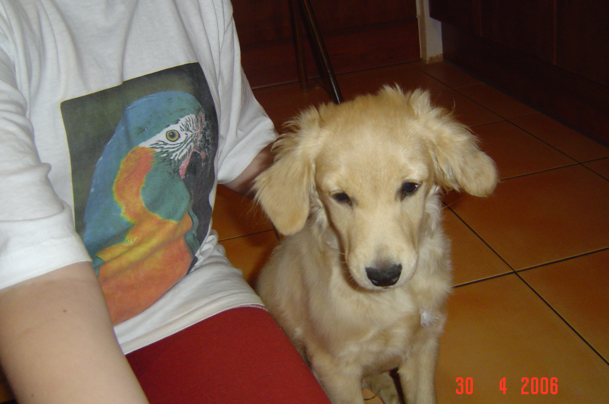 DSC02012.JPG