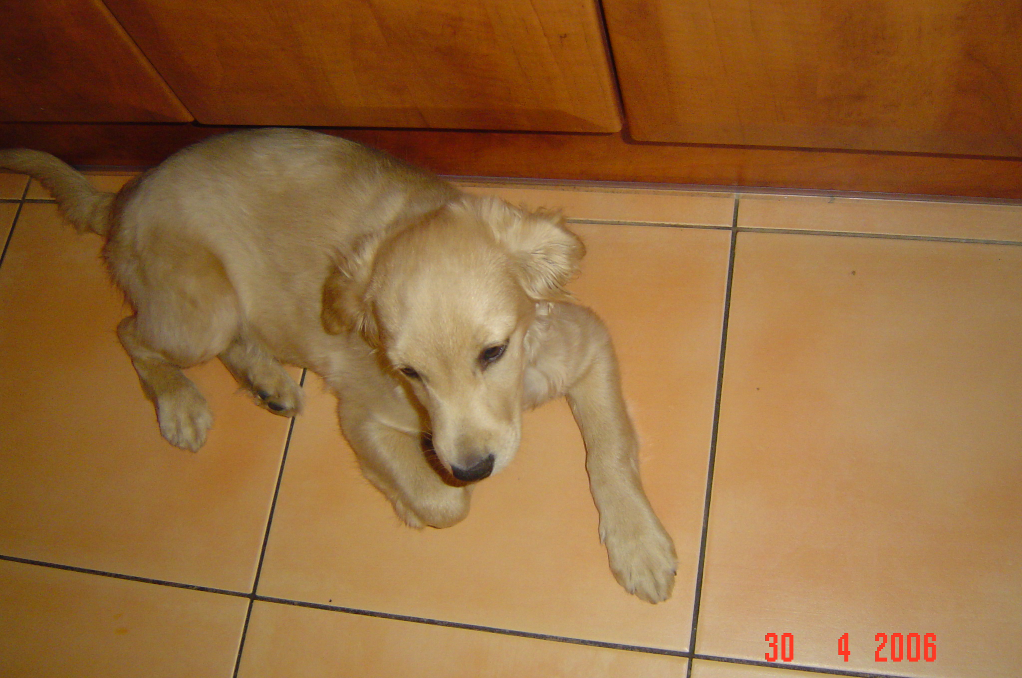 DSC02013.JPG