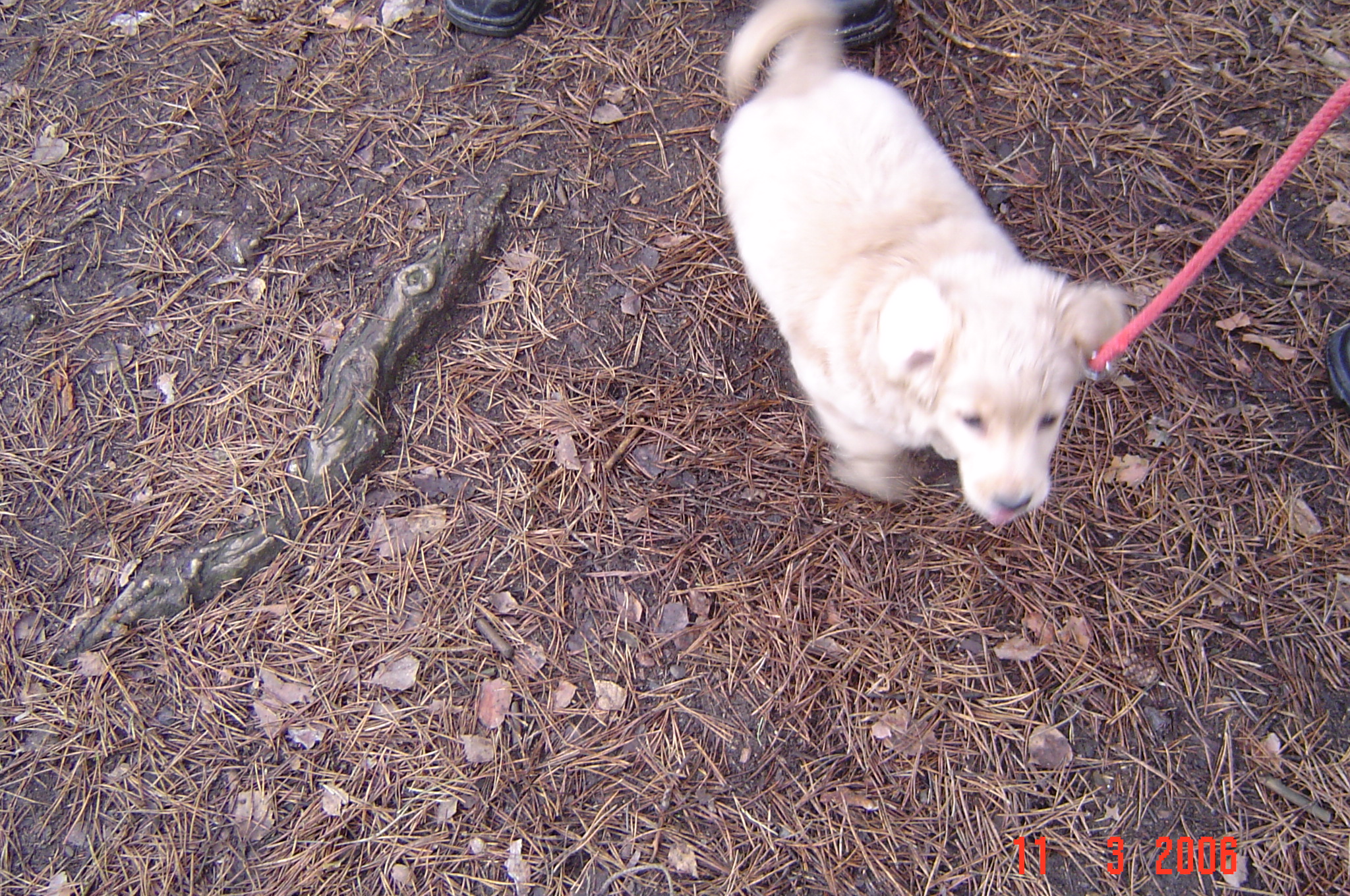 DSC01890.JPG